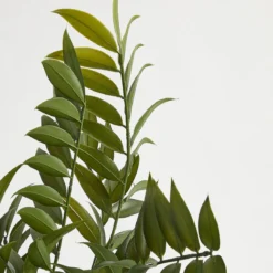 Bespoke Artificial Potted Plant