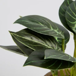 Botanic Artificial Caladium Potted Plant