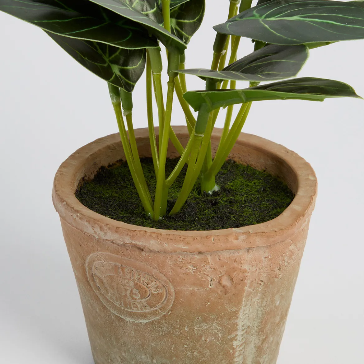 Botanic Artificial Caladium Potted Plant
