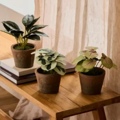 Botanic Artificial Evergreen Potted Plant