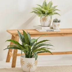 Cali Palm Decorative Pot
