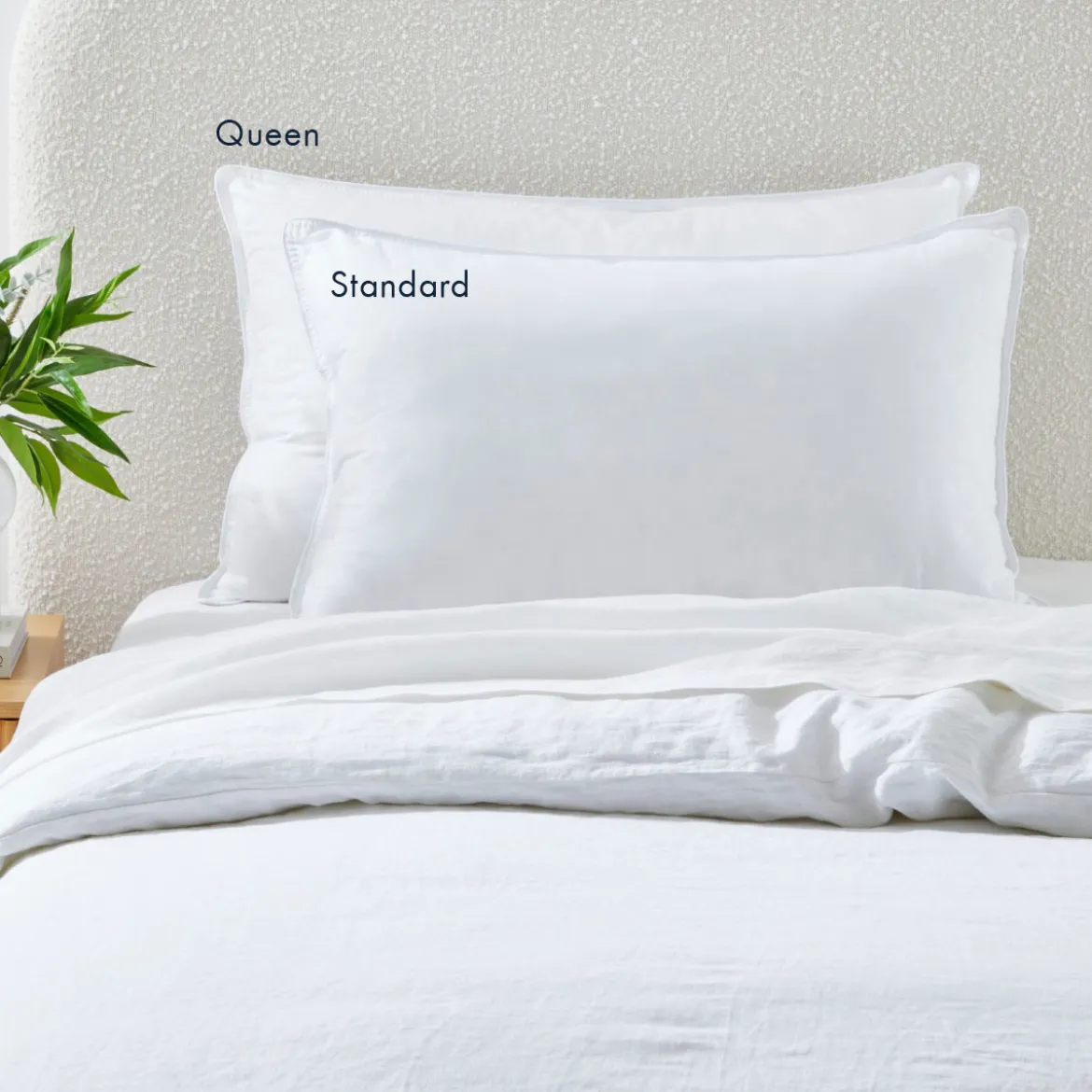 Classic Collection Standard Pillow