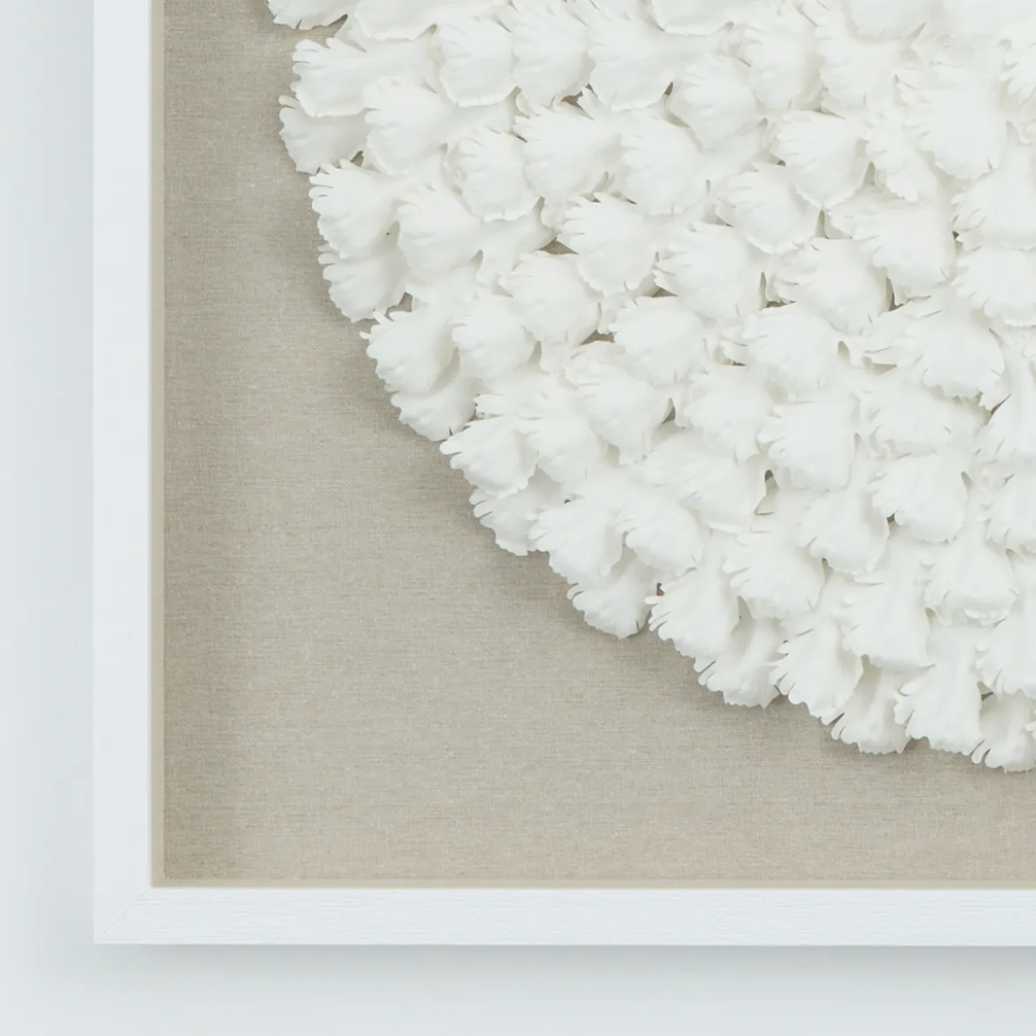 Coralline 3D Wall Art