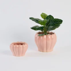 Dolly Blush Decorative Pot