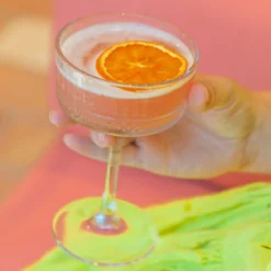 Dried Orange Cocktail Garnish