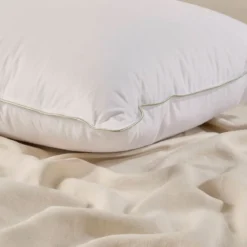30/70 Duck Down Feather Queen Pillow