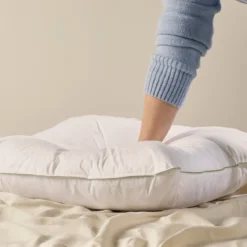 Duck Feather European Pillow