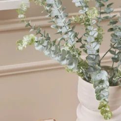 Dusty Eucalyptus Stem