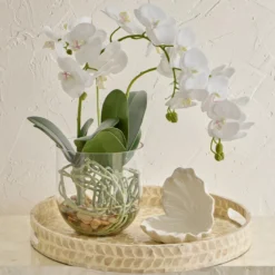 Flora Artificial Phalaenopsis Orchid in Vase