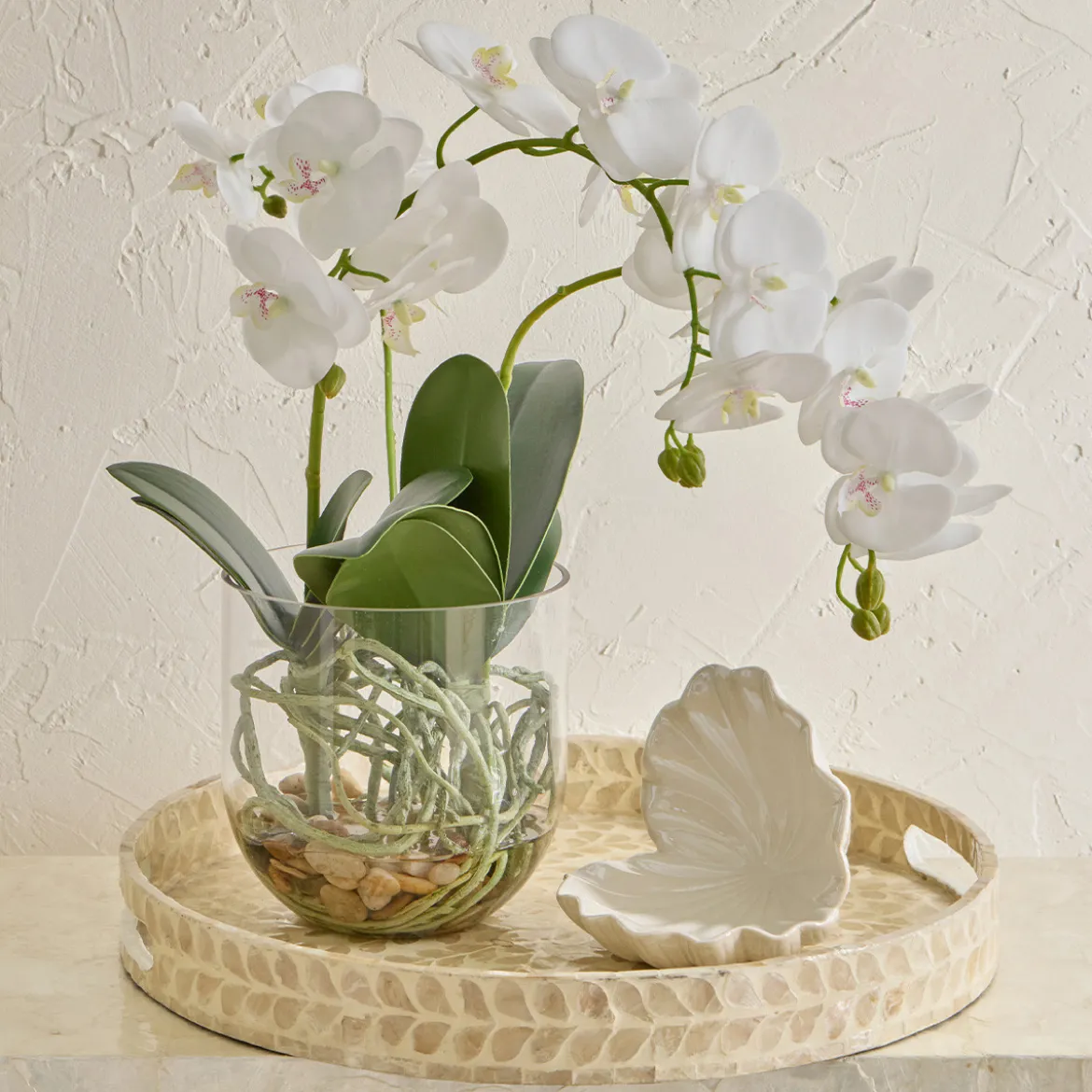 Flora Artificial Phalaenopsis Orchid in Vase