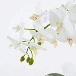 Flora Artificial Phalaenopsis Orchid in Vase