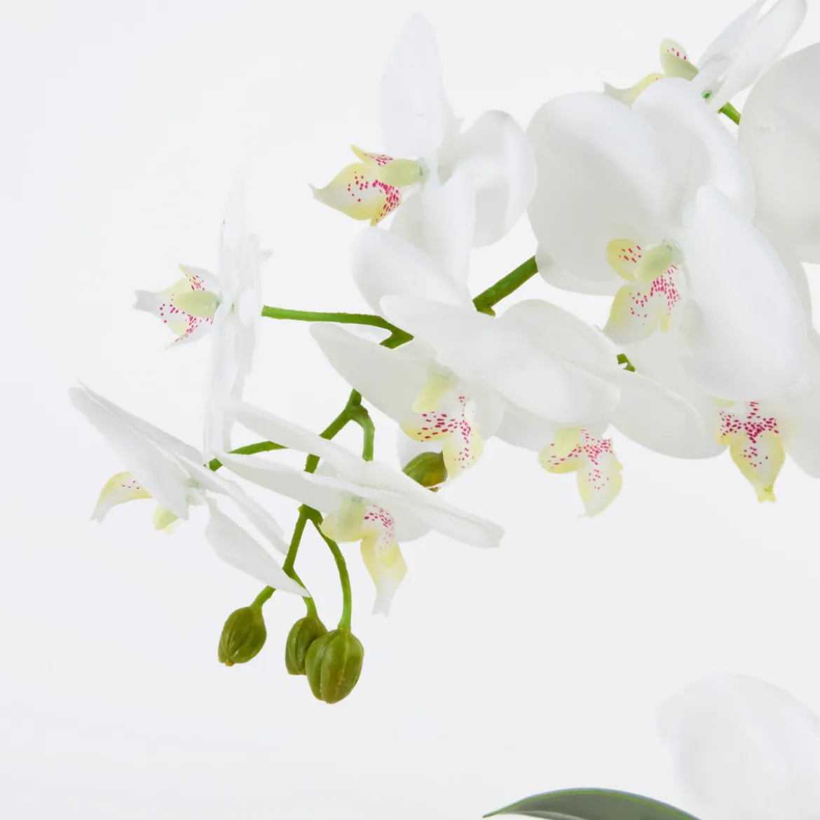 Flora Artificial Phalaenopsis Orchid in Vase