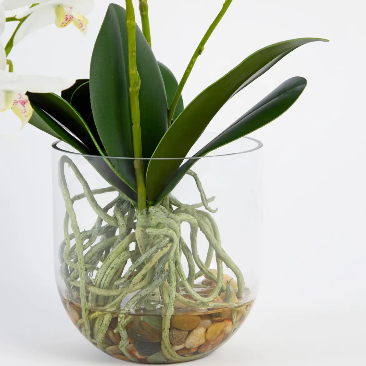 Flora Artificial Phalaenopsis Orchid in Vase