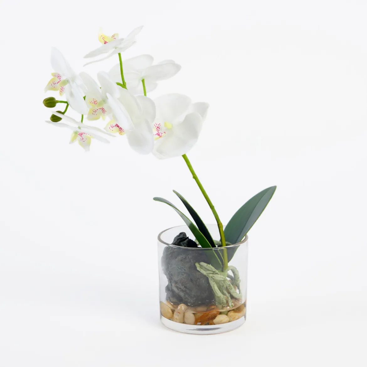 Flora Artificial Phalaenopsis Orchid in Vase