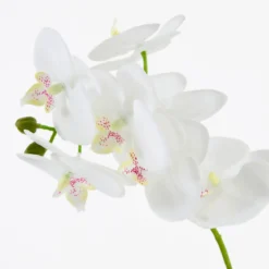 Flora Artificial Phalaenopsis Orchid in Vase