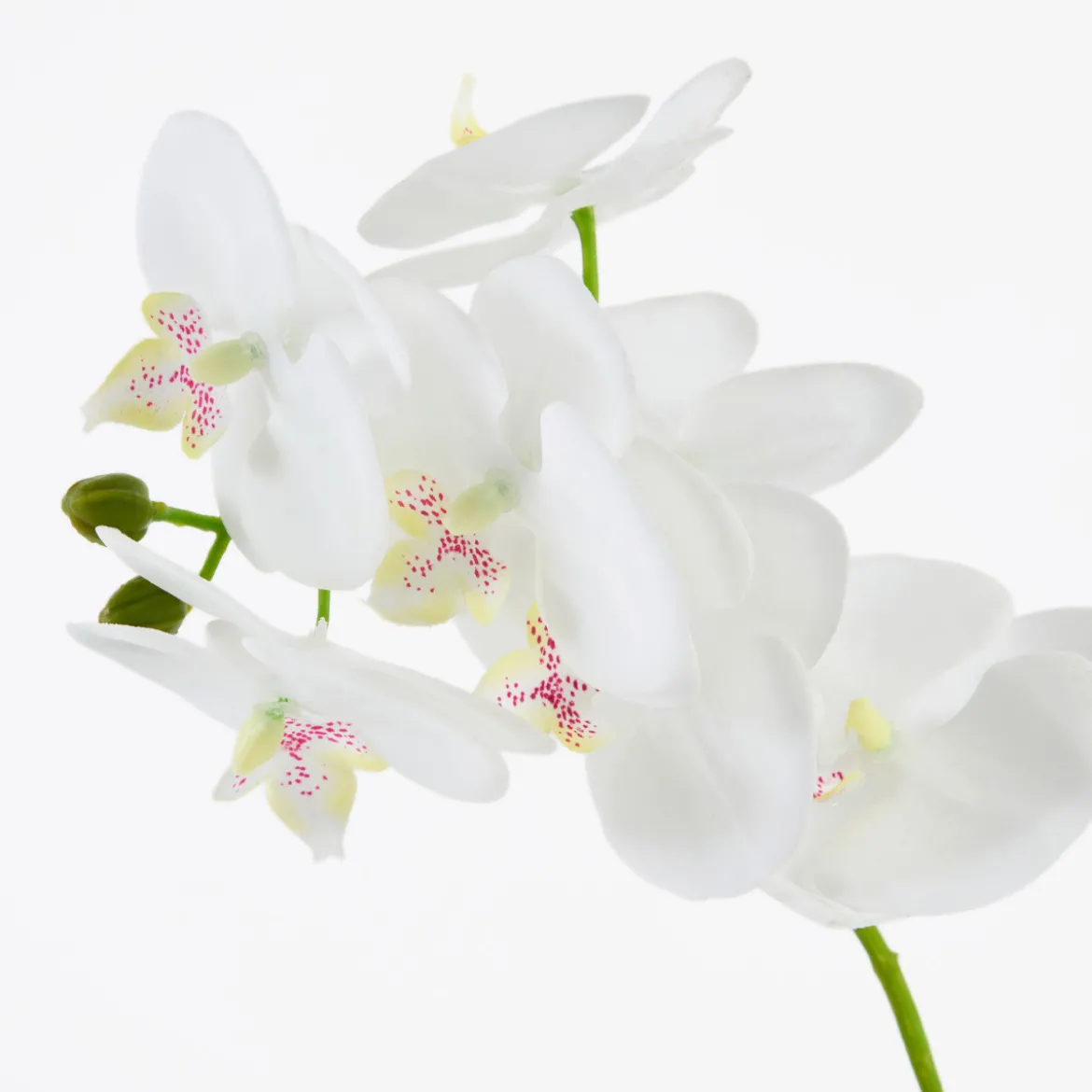Flora Artificial Phalaenopsis Orchid in Vase