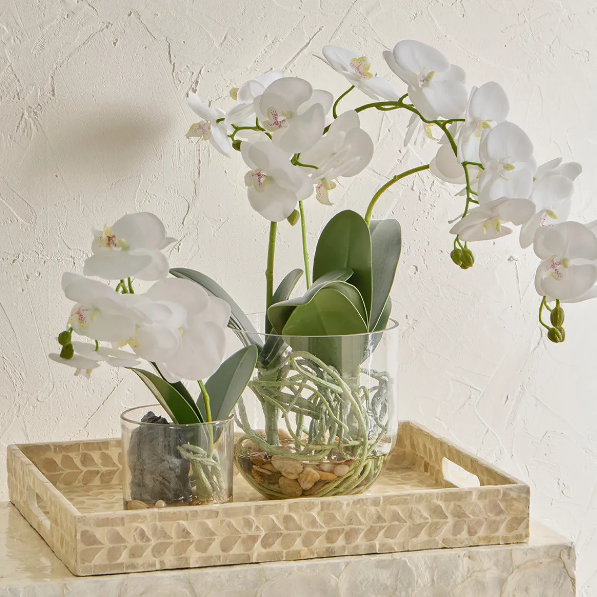 Flora Artificial Phalaenopsis Orchid in Vase