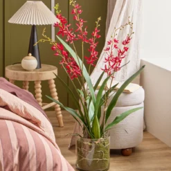 Freya Artificial Spider Orchid in Vase