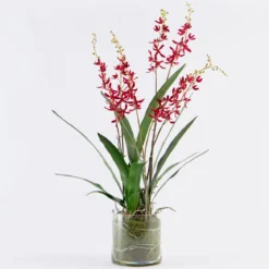Freya Artificial Spider Orchid in Vase