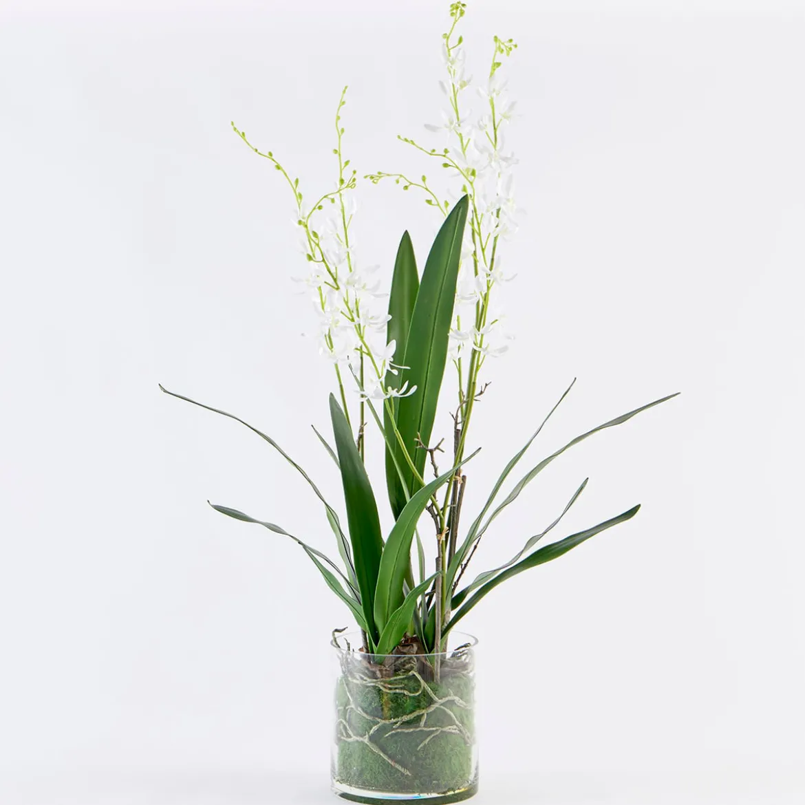 Freya Artificial Spider Orchid in Vase