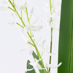 Freya Artificial Spider Orchid in Vase