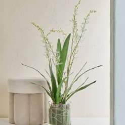 Freya Artificial Spider Orchid in Vase