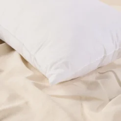 Gentle Dreams U Shape Pillow