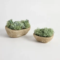 Greyson Potted Artificial Succulent