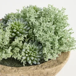 Greyson Potted Artificial Succulent
