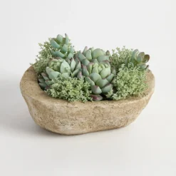 Greyson Potted Artificial Succulent