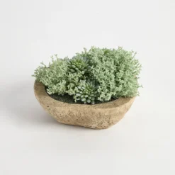 Greyson Potted Artificial Succulent