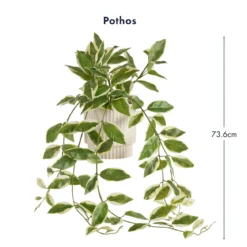 Hali Pothos Artificial Potted Plant