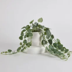 Hali String of Hearts Artificial Potted Plant