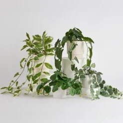 Hali String of Hearts Artificial Potted Plant