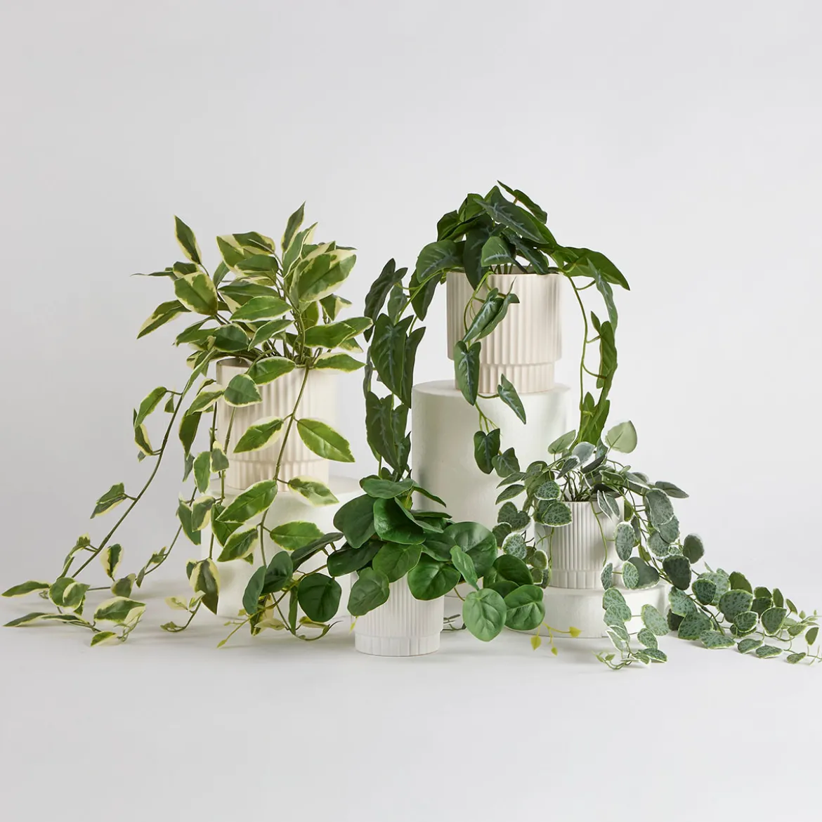 Hali String of Hearts Artificial Potted Plant