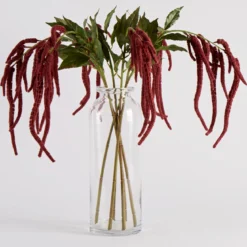 Hanging Millet Stem