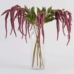 Hanging Millet Stem