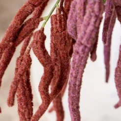 Hanging Millet Stem