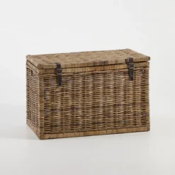 Hendrick Rectangle Trunk