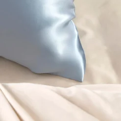 Light Blue Mulberry Silk Plain Pillowcase