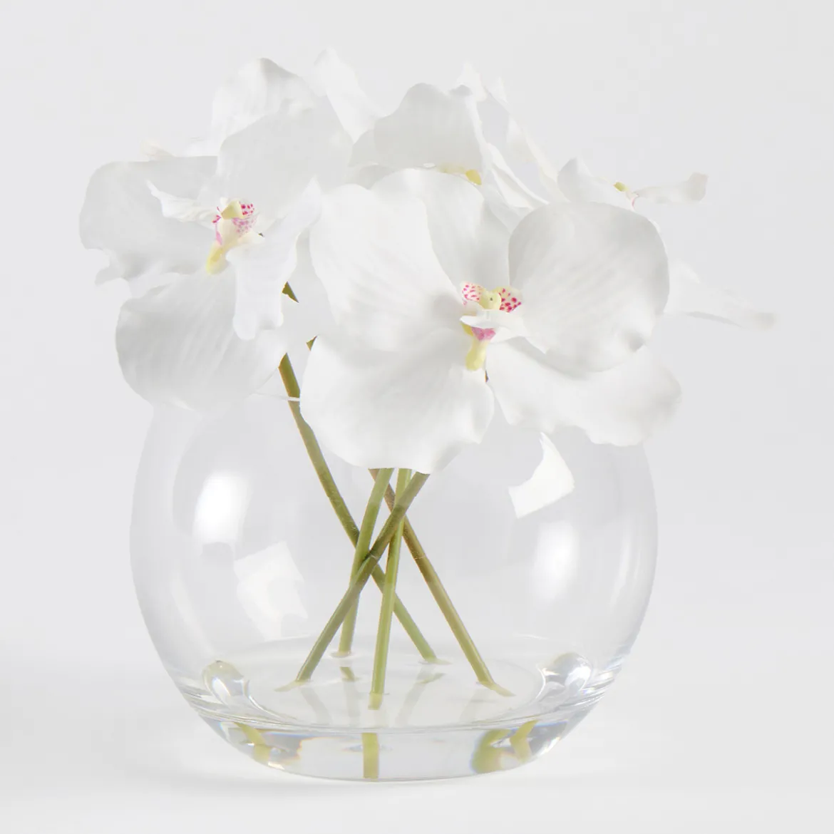 Lola Artificial Vanda Orchid Bouquet in Vase