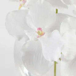 Lola Artificial Vanda Orchid Bouquet in Vase
