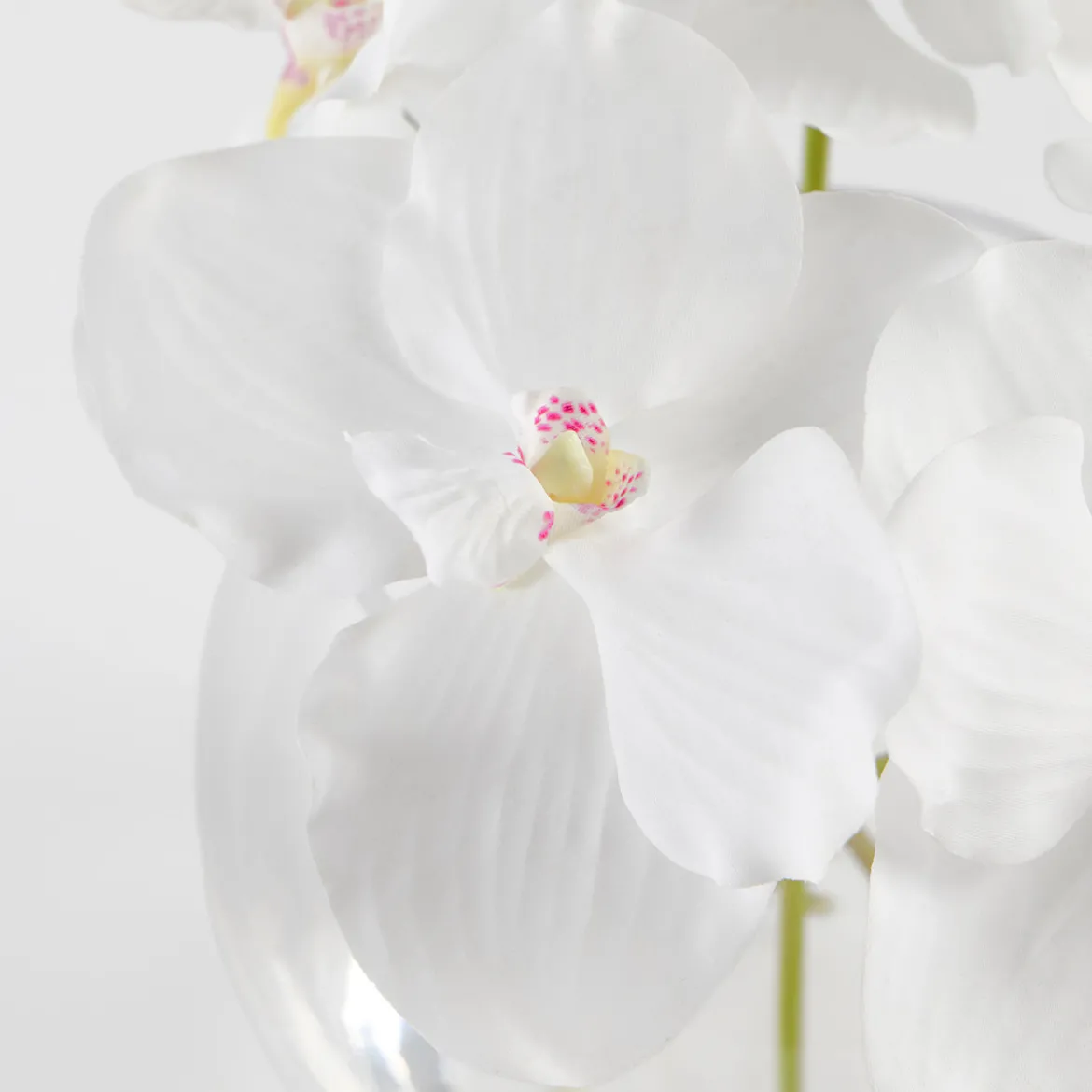 Lola Artificial Vanda Orchid Bouquet in Vase