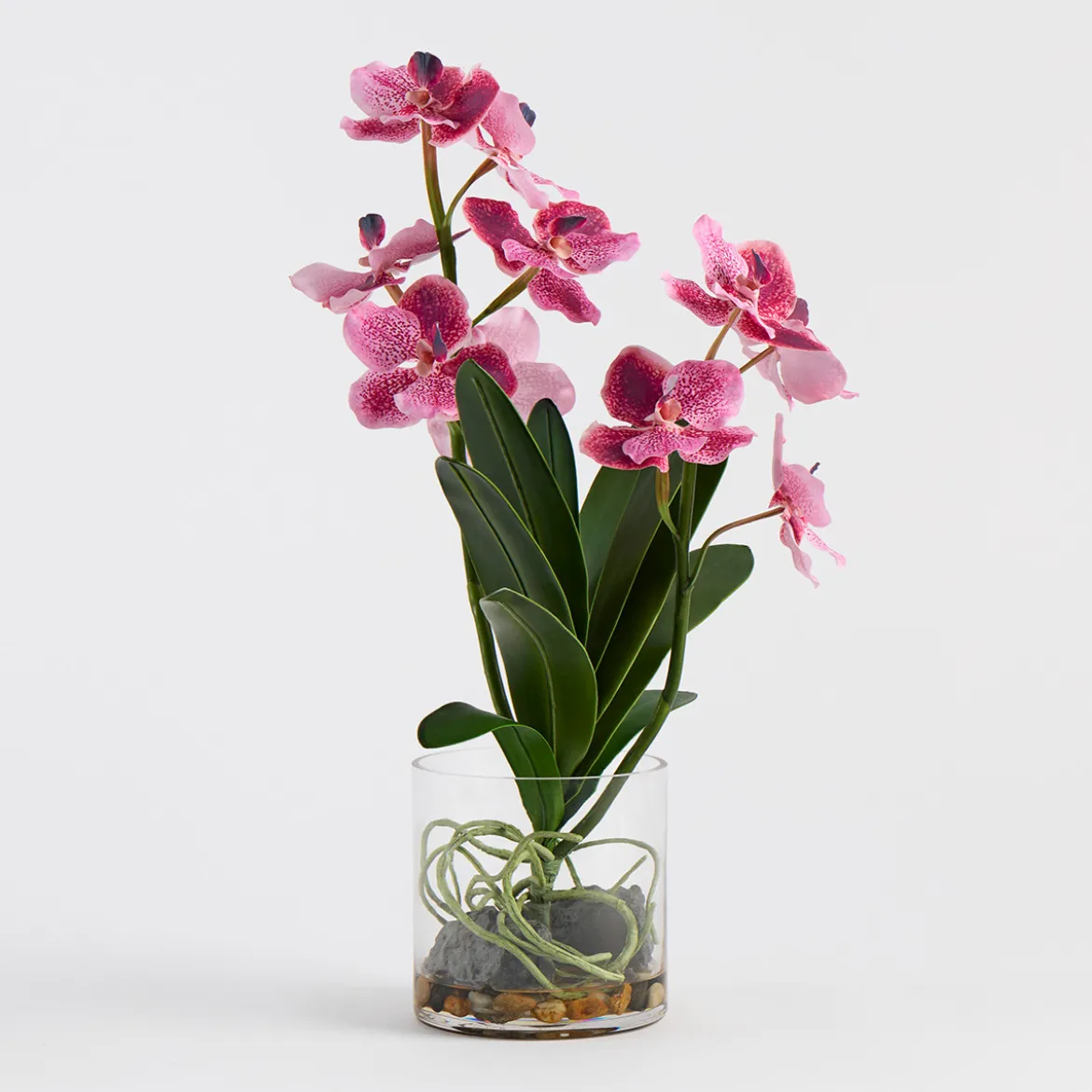 Lola Pink Artificial Vanda Orchid in Vase