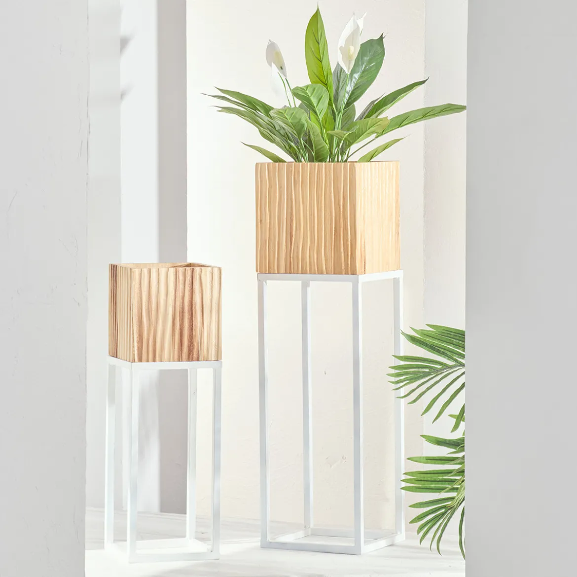 Manly Wooden Decorative Pot on White Metal Stand