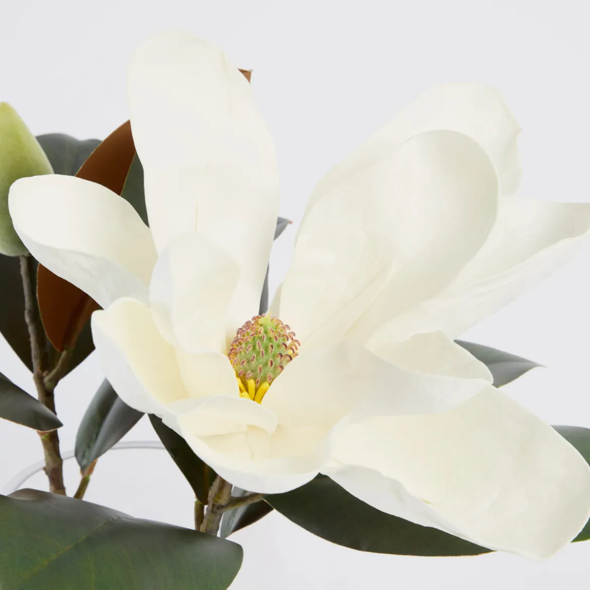Meadow Artificial Magnolia in Vase