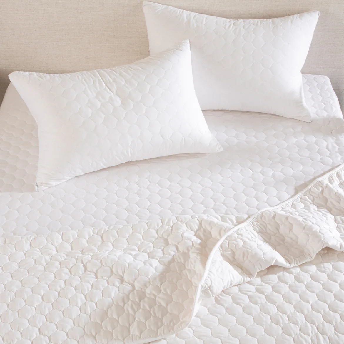 Natural Cotton Standard Pillow Protector