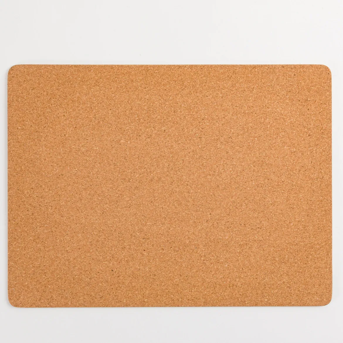 Paths of Rest Cork Placemat Set of 6