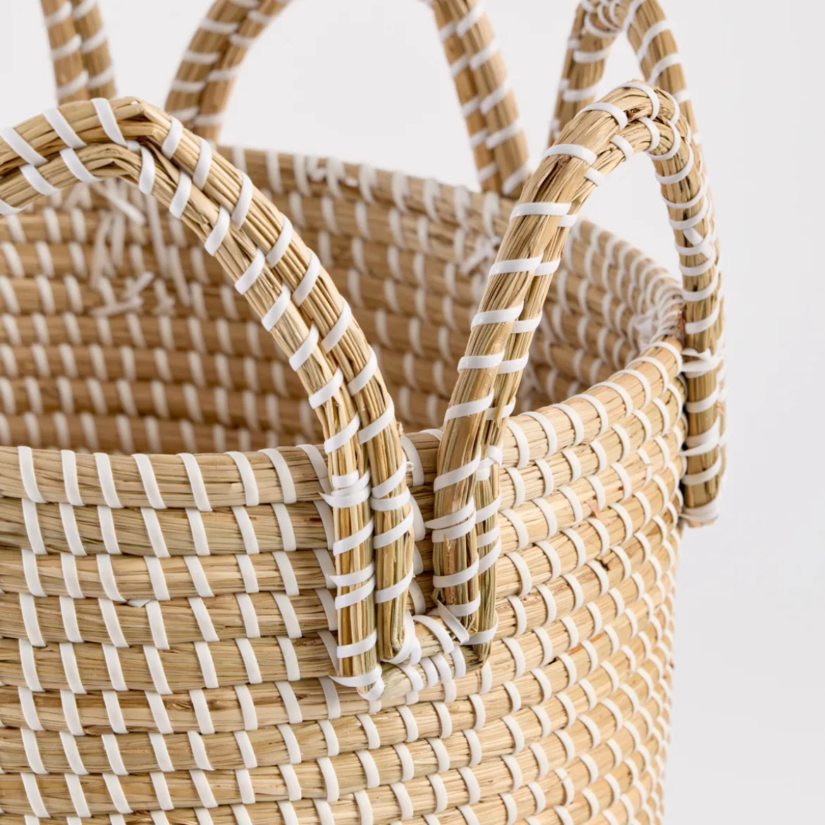 Paulie Basket