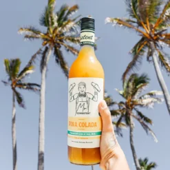 Pina Colada Cocktail Mixer